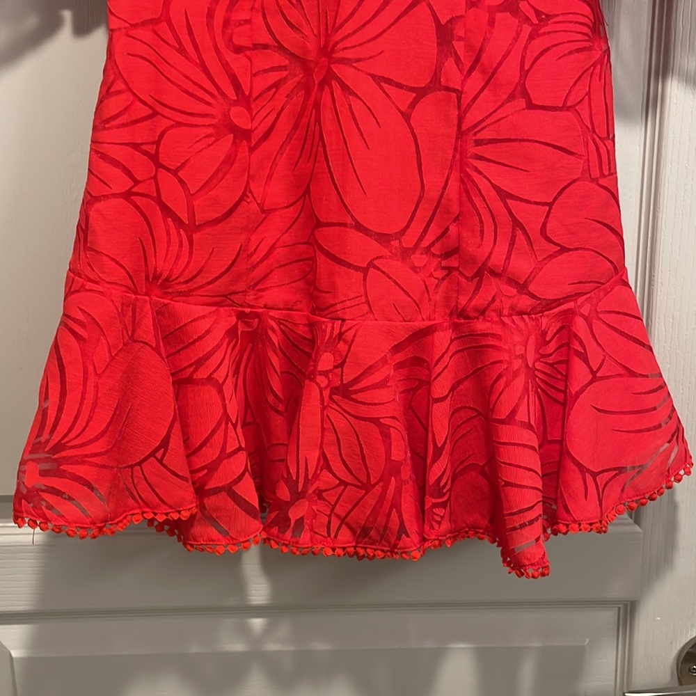 Red Dress - Picture 3 of 5